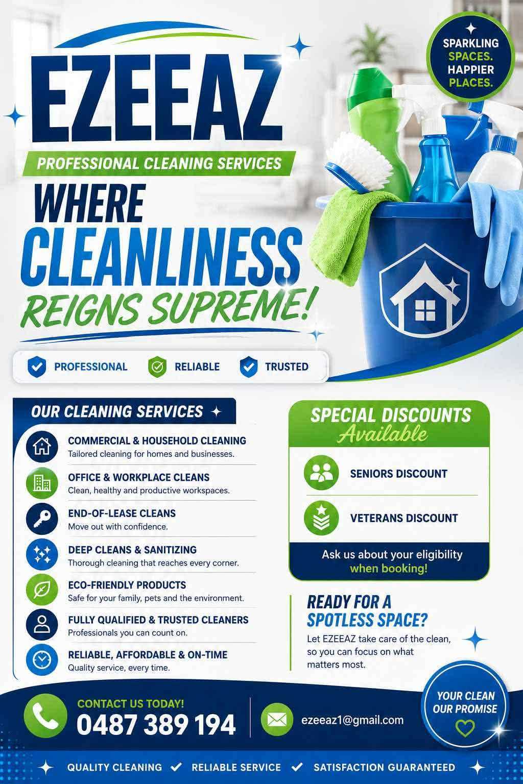 Professional Cleaning Services